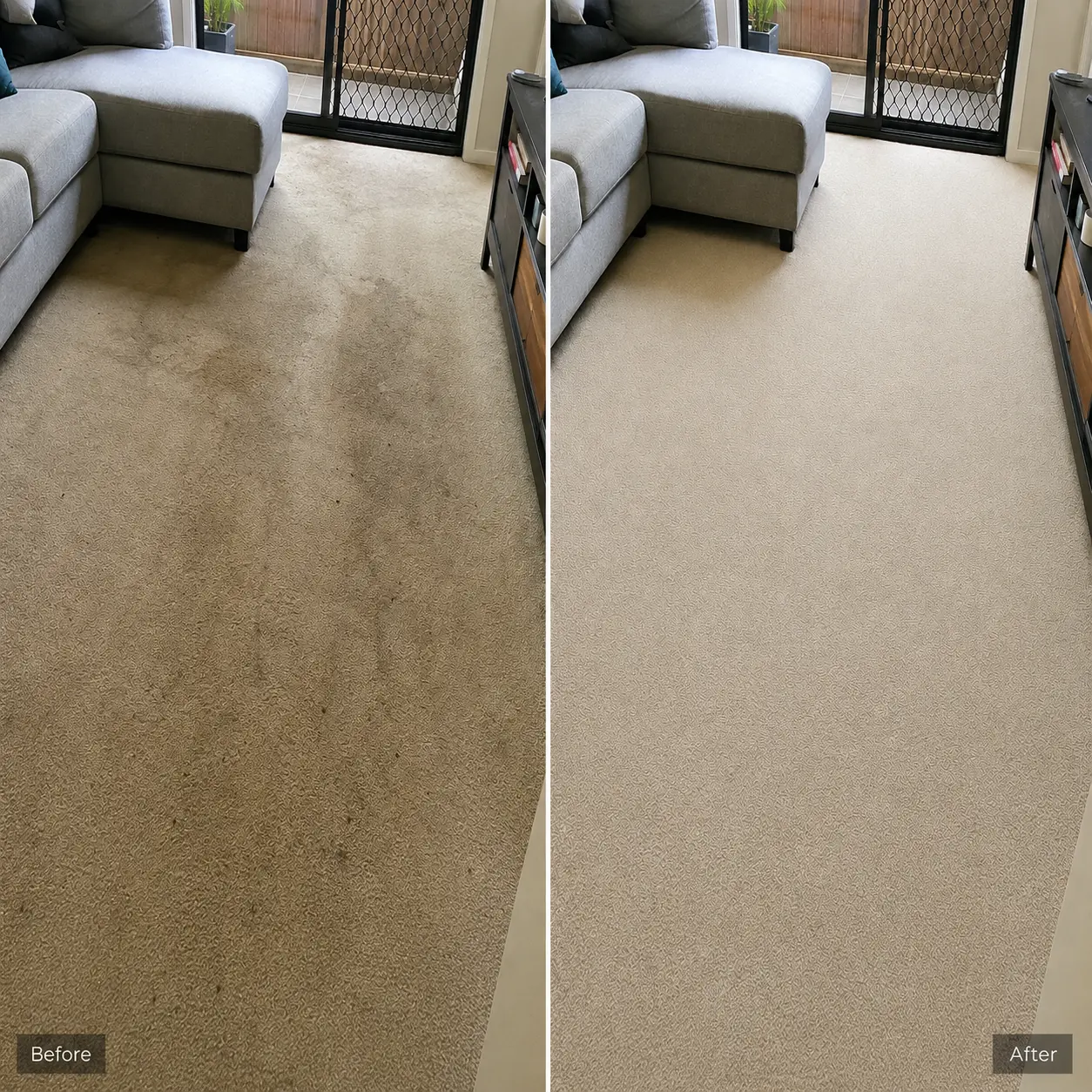 Before & After Pet Stain Treatment